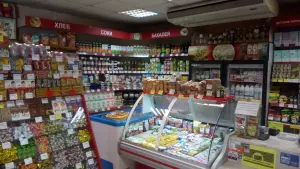 Комплекс зданий магазина по ул К. Маркса 220