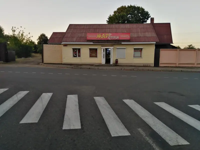 Комплекс зданий магазина по ул К. Маркса 220