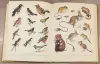 Книги, журналы - Александр Крапивный, Всеволод Радкевич, Нина Тихонова - Краткий зоологический словарь - Вся Беларусь - Фото 9 Александр Крапивный, Всеволод Радкевич, Нина Тихонова - Краткий зоологический словарь - Вся Беларусь - 241187 - Доска объявлений Kupika.by - Фото 9