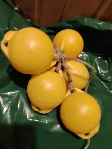 Маркерный Поплавок