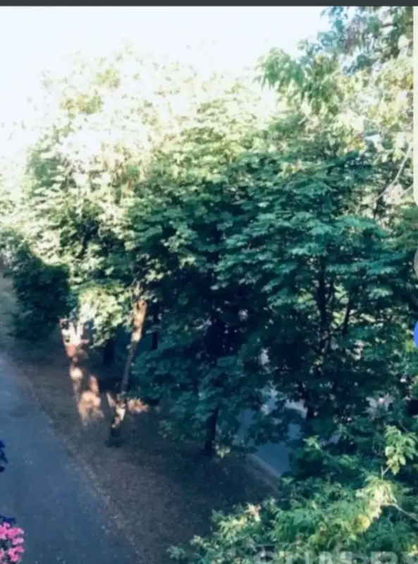 Продам 2 -х комнатную квартиру в центре города! В шикарном и экологически чистом месте! - Вся Беларусь - 241684 - Доска объявлений Kupika.by - Фото 2