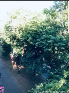 Продам 2 -х комнатную квартиру в центре города! В шикарном и экологически чистом месте!