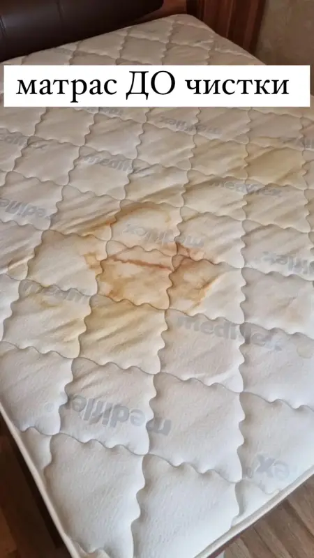 Аренда моющего пылесоса / пароочистителя / робота-мойщика окон - Вся Беларусь - 239204 - Доска объявлений Kupika.by - Фото 12