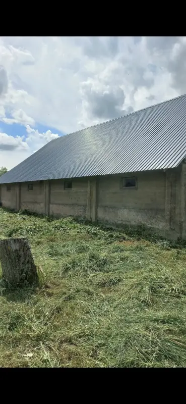 Дом с конюшней с деревня Станевичи - Вся Беларусь - 240995 - Доска объявлений Kupika.by - Фото 5