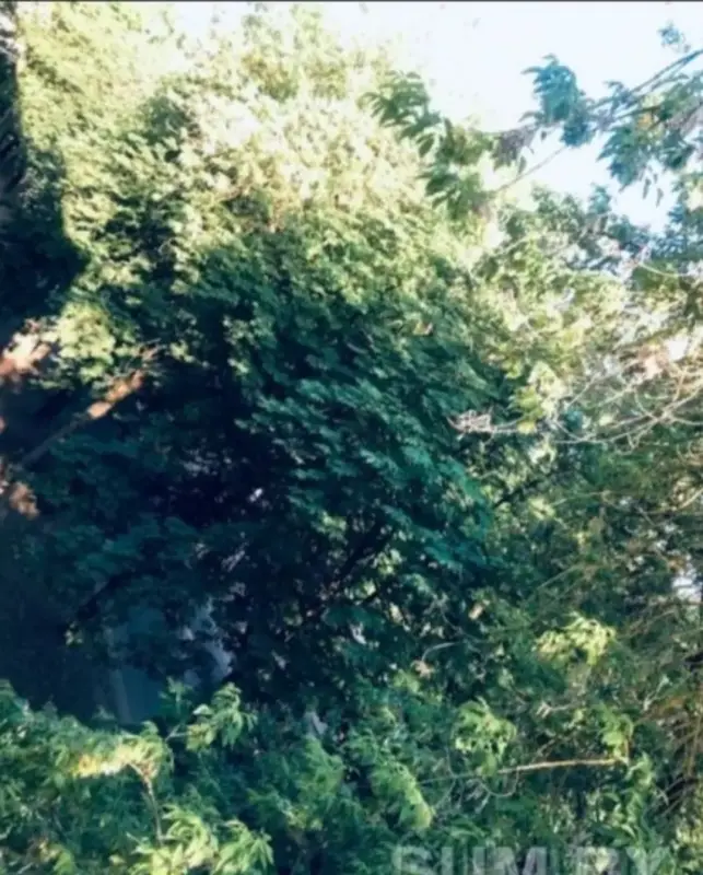 Продам 2 -х комнатную квартиру в центре города! В шикарном и экологически чистом месте! - Вся Беларусь - 241684 - Доска объявлений Kupika.by - Фото 3