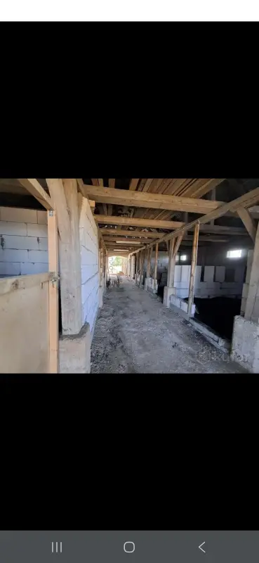 Продажа домов - Дом с конюшней - Вся Беларусь - Фото 11 Дом с конюшней - Вся Беларусь - 240995 - Доска объявлений Kupika.by - Фото 11