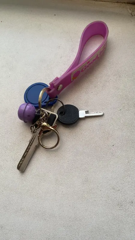 Бюро находок - Найдены ключи. Калинковичи, Батова - Вся Беларусь Найдены ключи. Калинковичи, Батова - Вся Беларусь - 238788 - Доска объявлений Kupika.by