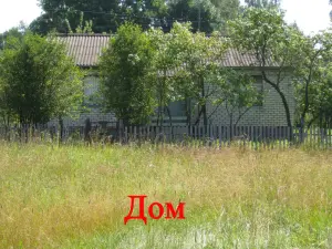 Жилой кирпичный дом на берегу озера, Толочинский район, г. п. Коханово.