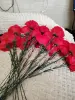 Искусственные гвоздики бархатные - Вся Беларусь - 240076 - Доска объявлений Kupika.by