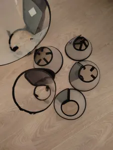 Ветеринарные воротники