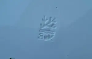 Тарелки глубокие 5 шт.