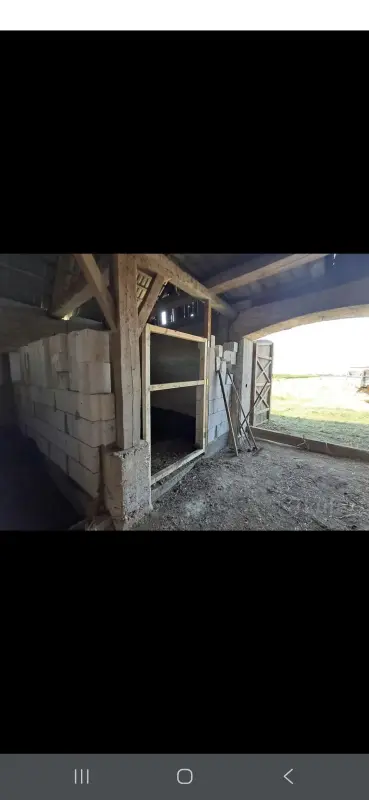 Продажа домов - Дом с конюшней - Вся Беларусь - Фото 13 Дом с конюшней - Вся Беларусь - 240995 - Доска объявлений Kupika.by - Фото 13