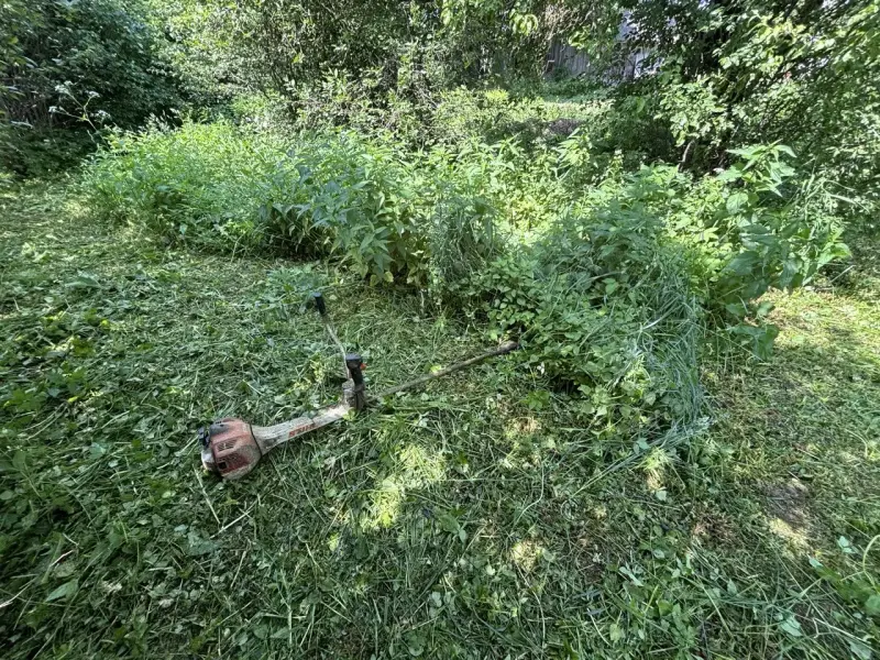 Покос травы - Вся Беларусь - 240766 - Доска объявлений Kupika.by - Фото 4