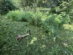 Покос травы