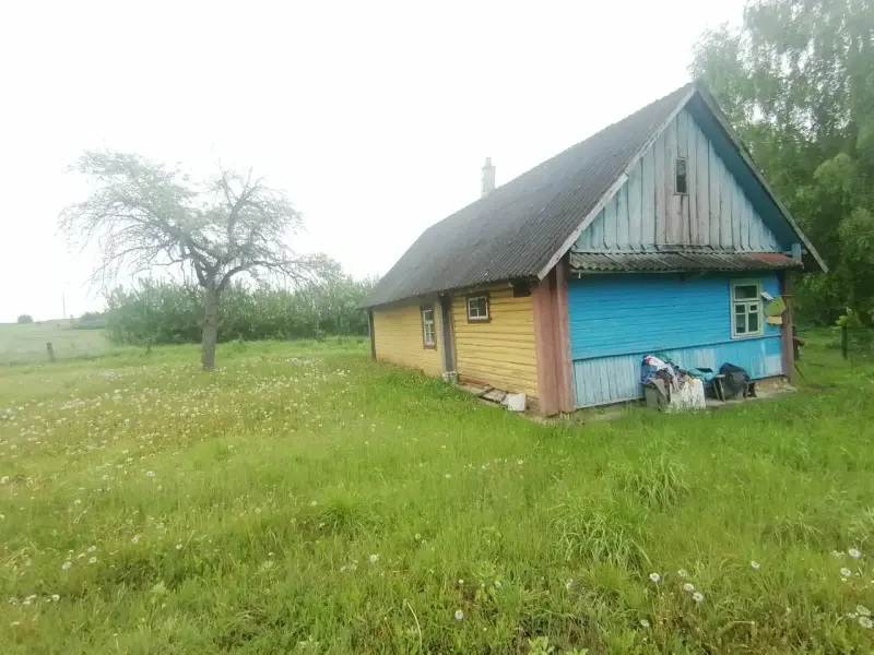 Дом рядом с г. Кореличи - д.Бушки, речка Рута 100м, уютный дом, своя скважина - Вся Беларусь - 239332 - Доска объявлений Kupika.by - Фото 5
