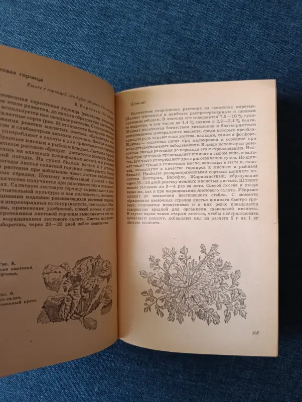 Книга. 70 видов овощей на огороде. - Вся Беларусь - 241530 - Доска объявлений Kupika.by - Фото 7