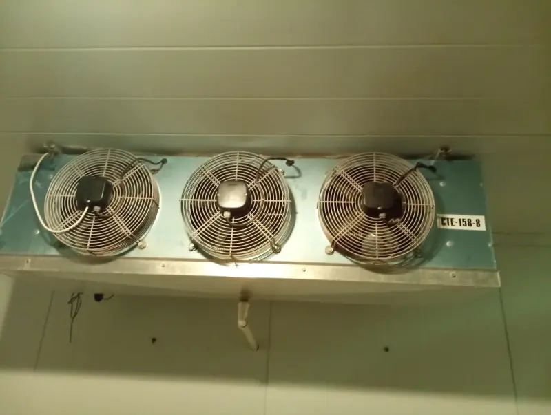 Оборудование для бизнеса - Холодильное оборудование в отличном состоянии с 4 холодильных камер - Вся Беларусь - Фото 2 Холодильное оборудование в отличном состоянии с 4 холодильных камер - Вся Беларусь - 238825 - Доска объявлений Kupika.by - Фото 2