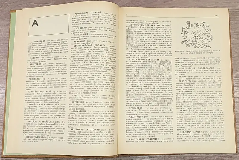 Александр Крапивный, Всеволод Радкевич, Нина Тихонова - Краткий зоологический словарь - Вся Беларусь - 241187 - Доска объявлений Kupika.by - Фото 6