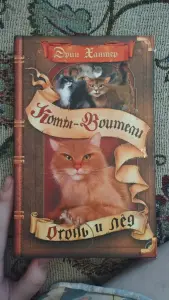 Коты-Воители, Огонь и лед. Книга