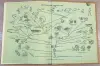 Книги, журналы - Александр Крапивный, Всеволод Радкевич, Нина Тихонова - Краткий зоологический словарь - Вся Беларусь - Фото 2 Александр Крапивный, Всеволод Радкевич, Нина Тихонова - Краткий зоологический словарь - Вся Беларусь - 241187 - Доска объявлений Kupika.by - Фото 2