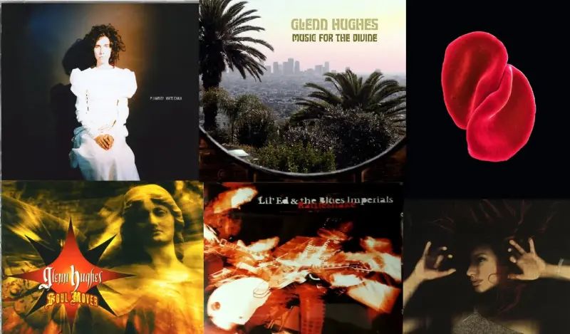 CD диски (лицензия)