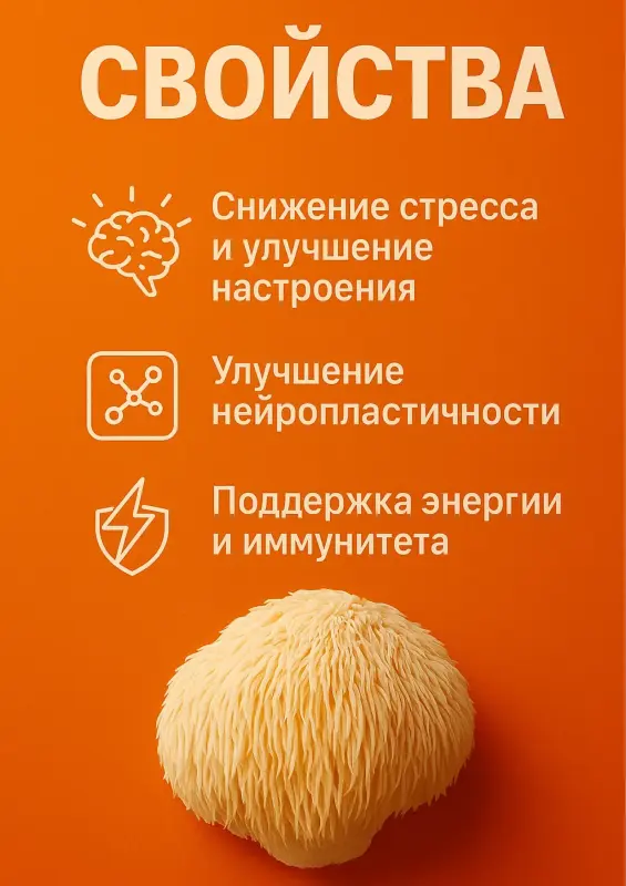 Ежовик гребенчатый мицелий 500мг + Бакопа монье 100мг - Вся Беларусь - 241171 - Доска объявлений Kupika.by - Фото 2