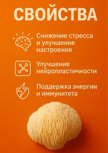 Ежовик гребенчатый мицелий 500мг + Бакопа монье 100мг