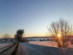 Дом в д.Пруды,2 озера, река, Налибокская пуща,76 км от МКАД
