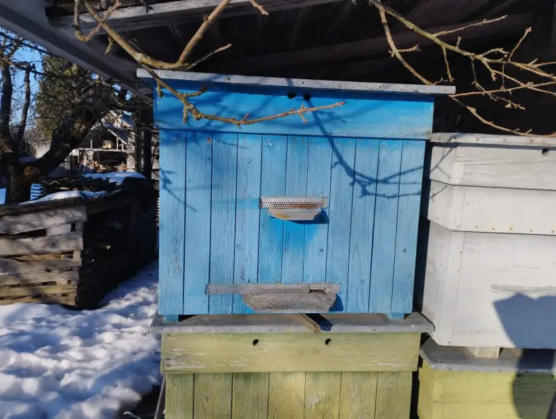 Все для пчеловодства - Вся Беларусь - 240129 - Доска объявлений Kupika.by - Фото 6