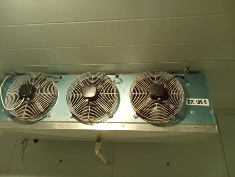 Оборудование для бизнеса - Холодильное оборудование в отличном состоянии с 4 холодильных камер - Вся Беларусь - Фото 4 Холодильное оборудование в отличном состоянии с 4 холодильных камер - Вся Беларусь - 238825 - Доска объявлений Kupika.by - Фото 4