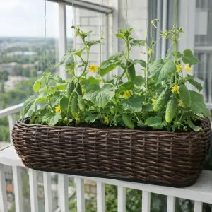 Кашпо из ротанга