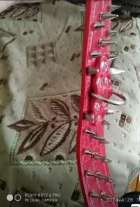 Ошейник для собак с шипами