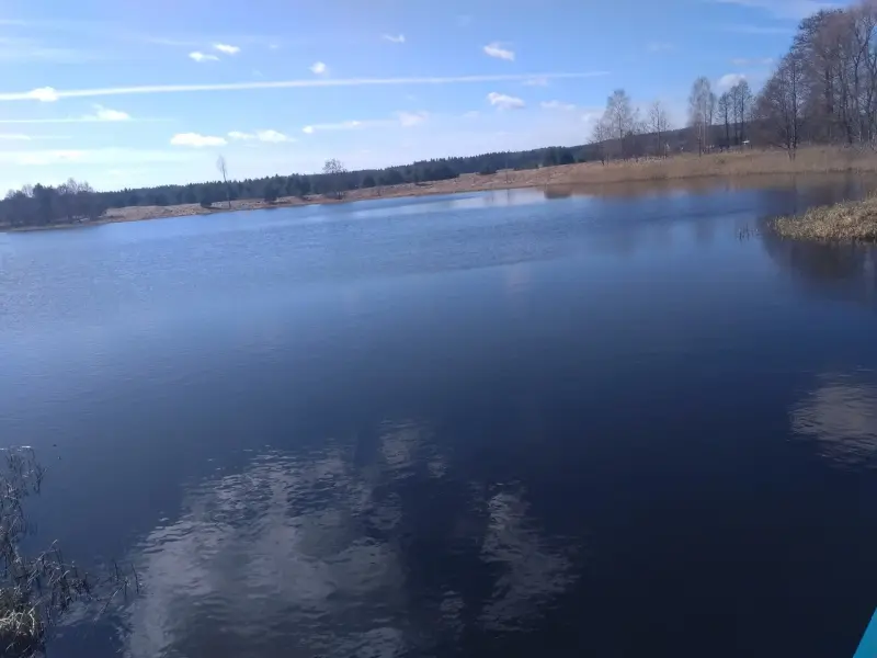 Дом в д.Пруды,2 озера, река, Налибокская пуща,76 км от МКАД - Вся Беларусь - 239330 - Доска объявлений Kupika.by - Фото 11