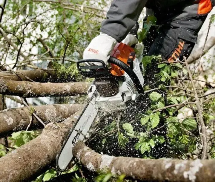 Уборка участка. Расчистка участка.