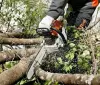 Уборка участка. Расчистка участка. - Вся Беларусь - 240777 - Доска объявлений Kupika.by
