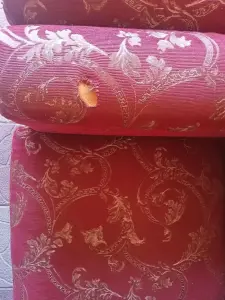 Отдам БЕСПЛАТНО диван и 2 кресла