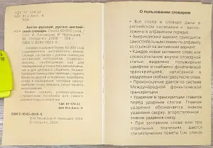 Ирина Лисовская, Илья Чернышев - Англо-русский и русско-английский словарь