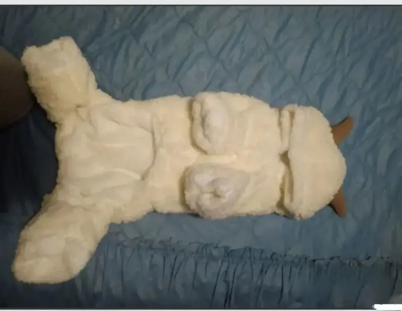 Комбинезон коза - Вся Беларусь - 240854 - Доска объявлений Kupika.by - Фото 2