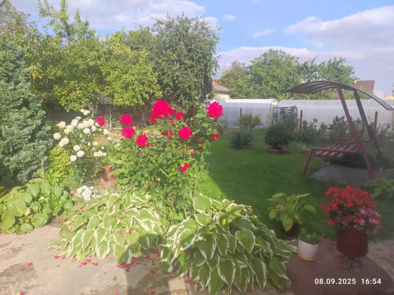 Продам уютный дом в Волковыске - Вся Беларусь - 240403 - Доска объявлений Kupika.by - Фото 3