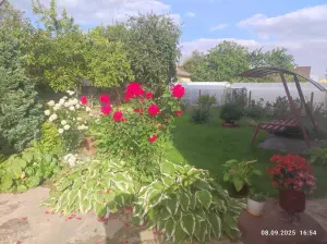 Продам уютный дом в Волковыске