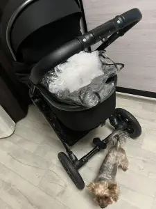 Детская коляска