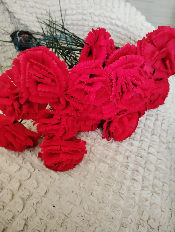 Искусственные гвоздики бархатные - Вся Беларусь - 240076 - Доска объявлений Kupika.by - Фото 2