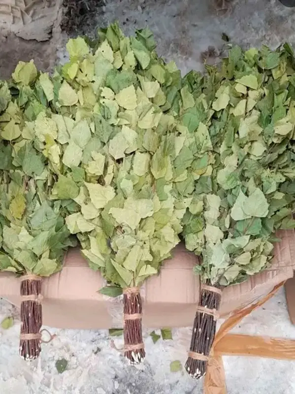 Веник банный береза