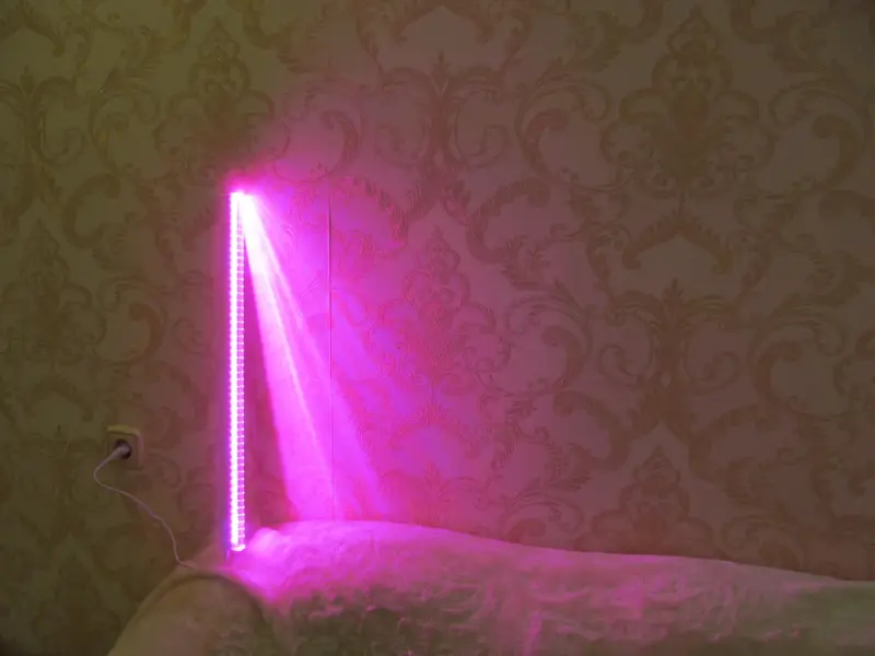 Фито лампа (фито светильник) ALFALED  серия LI, 10Вт, 57 см., провод 45см.