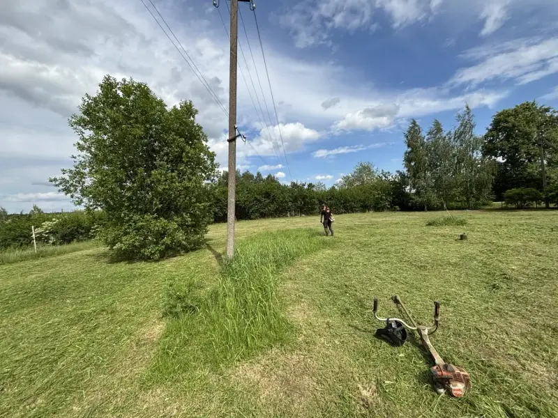 Покос травы - Вся Беларусь - 240766 - Доска объявлений Kupika.by - Фото 2