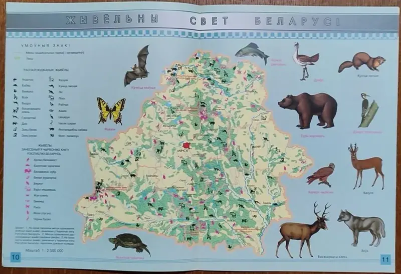 Атлас для 4-га класа. Мая Радзiма - Беларусь - Вся Беларусь - 240763 - Доска объявлений Kupika.by - Фото 8