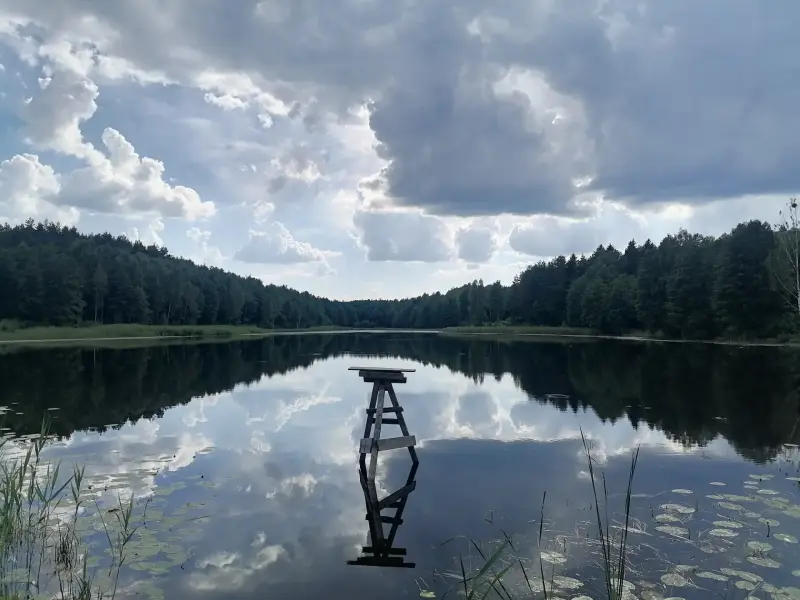 Дом в д.Пруды,2 озера, река, Налибокская пуща,76 км от МКАД - Вся Беларусь - 239330 - Доска объявлений Kupika.by - Фото 10