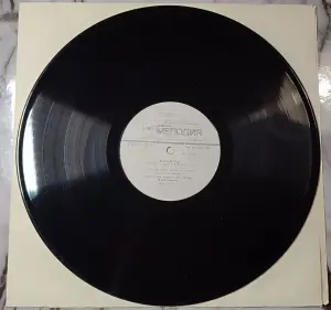 Грампластинка ''Алексей Глызин и группа ''Ура'' - Зимний сад'' (1990)