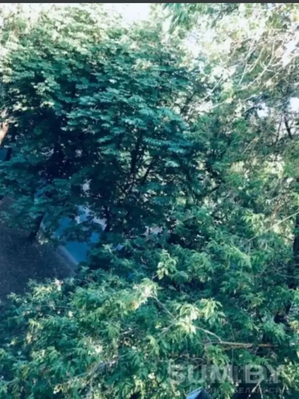 Продам 2 -х комнатную квартиру в центре города! В шикарном и экологически чистом месте!