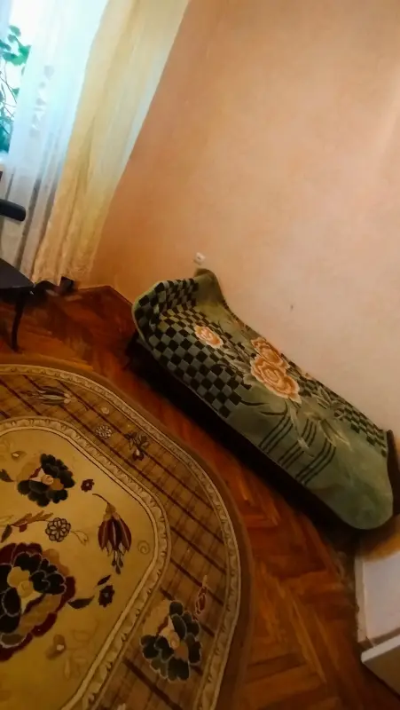 Продам 2 -х комнатную квартиру в центре Витебска! В шикарном и экологически чистом месте! - Вся Беларусь - 241684 - Доска объявлений Kupika.by - Фото 3